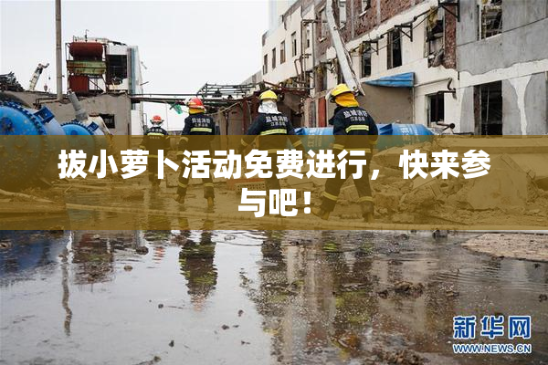 拔小萝卜活动免费进行，快来参与吧！