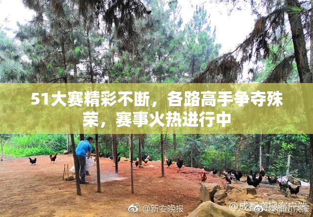 51大赛精彩不断，各路高手争夺殊荣，赛事火热进行中