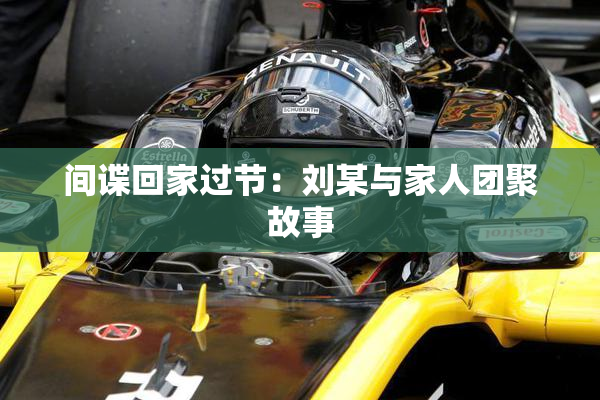 间谍回家过节：刘某与家人团聚故事