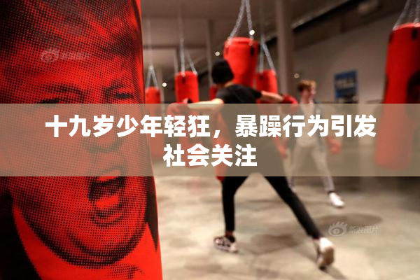 十九岁少年轻狂，暴躁行为引发社会关注