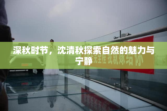 深秋时节，沈清秋探索自然的魅力与宁静