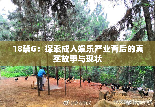18禁G：探索成人娱乐产业背后的真实故事与现状