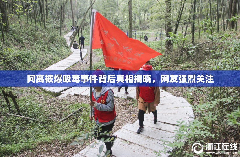 阿离被爆吸毒事件背后真相揭晓，网友强烈关注