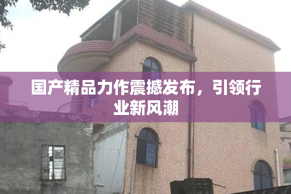 国产精品力作震撼发布，引领行业新风潮