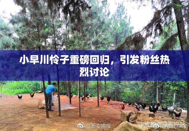 小早川怜子重磅回归，引发粉丝热烈讨论