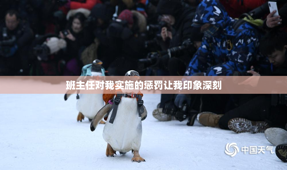 班主任对我实施的惩罚让我印象深刻