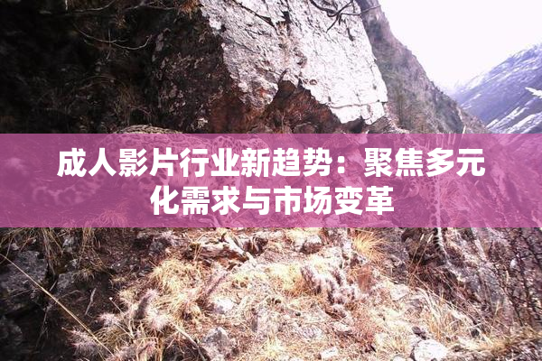 成人影片行业新趋势：聚焦多元化需求与市场变革