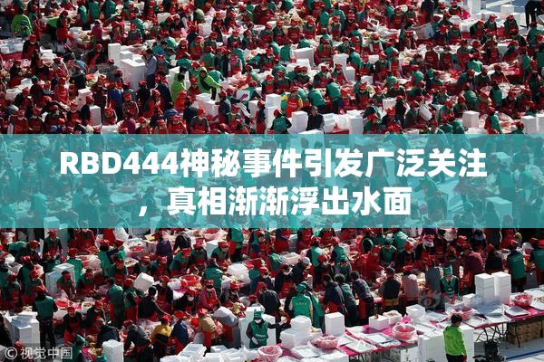 RBD444神秘事件引发广泛关注，真相渐渐浮出水面