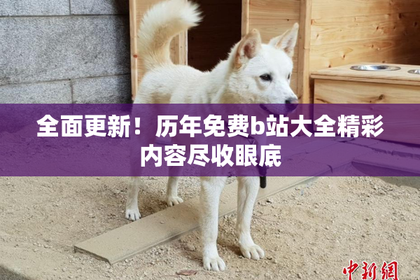 全面更新！历年免费b站大全精彩内容尽收眼底