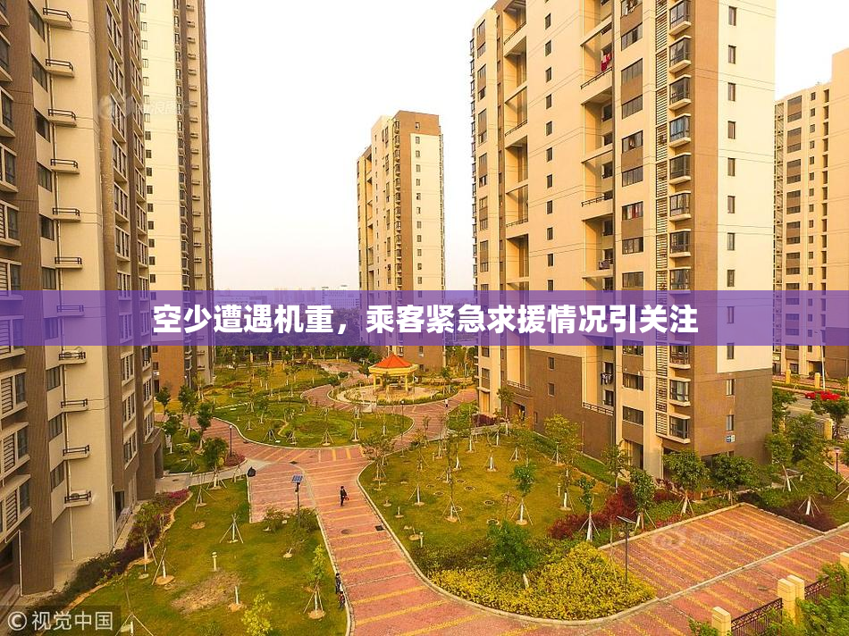 空少遭遇机重，乘客紧急求援情况引关注