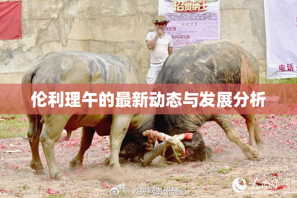 伦利理午的最新动态与发展分析