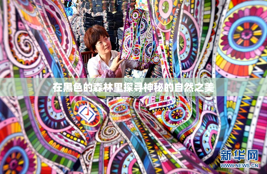 在黑色的森林里探寻神秘的自然之美