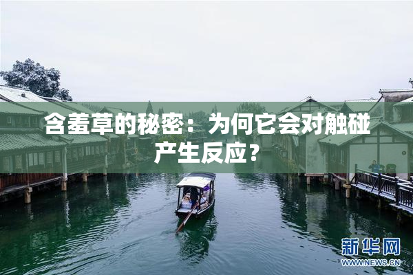 含羞草的秘密：为何它会对触碰产生反应？