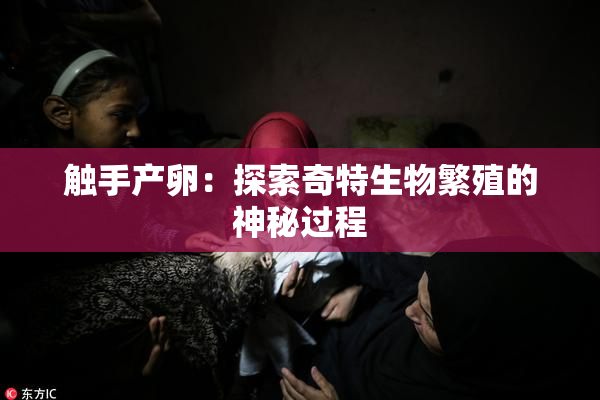 触手产卵：探索奇特生物繁殖的神秘过程