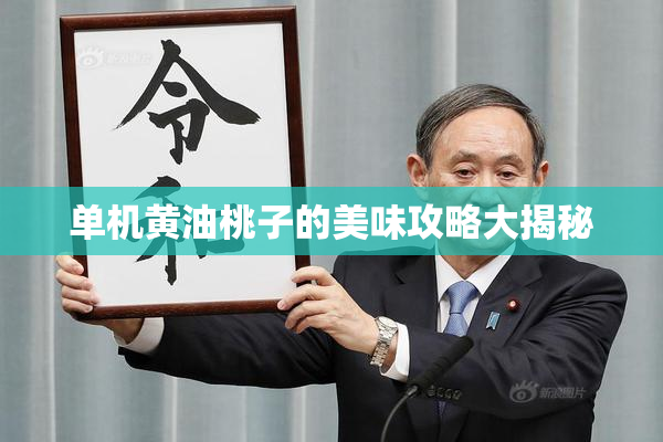 单机黄油桃子的美味攻略大揭秘