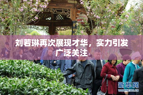 刘若琳再次展现才华，实力引发广泛关注