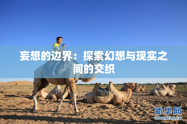 妄想的边界：探索幻想与现实之间的交织