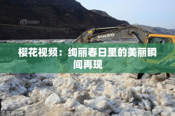樱花视频：绚丽春日里的美丽瞬间再现