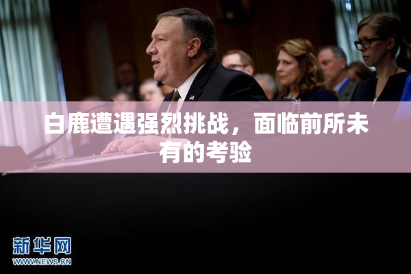 白鹿遭遇强烈挑战，面临前所未有的考验