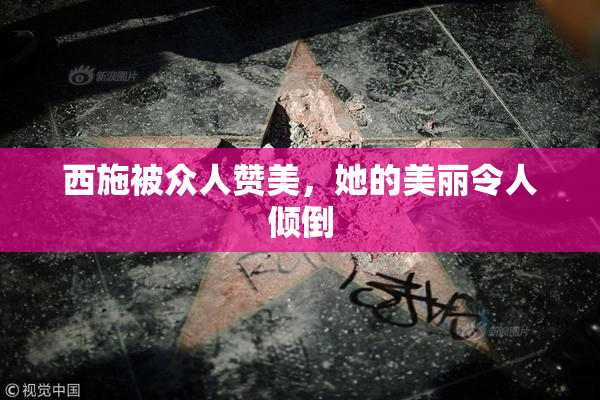 西施被众人赞美，她的美丽令人倾倒