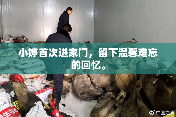 小婷首次进家门，留下温馨难忘的回忆。
