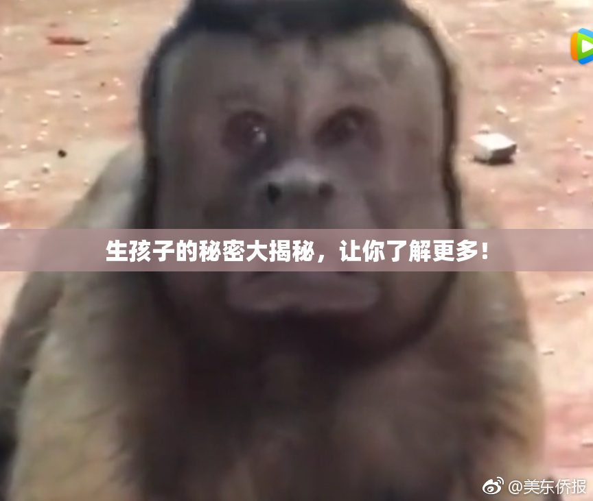 生孩子的秘密大揭秘，让你了解更多！
