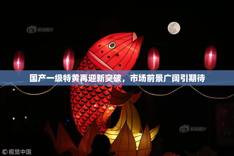 国产一级特黄再迎新突破，市场前景广阔引期待