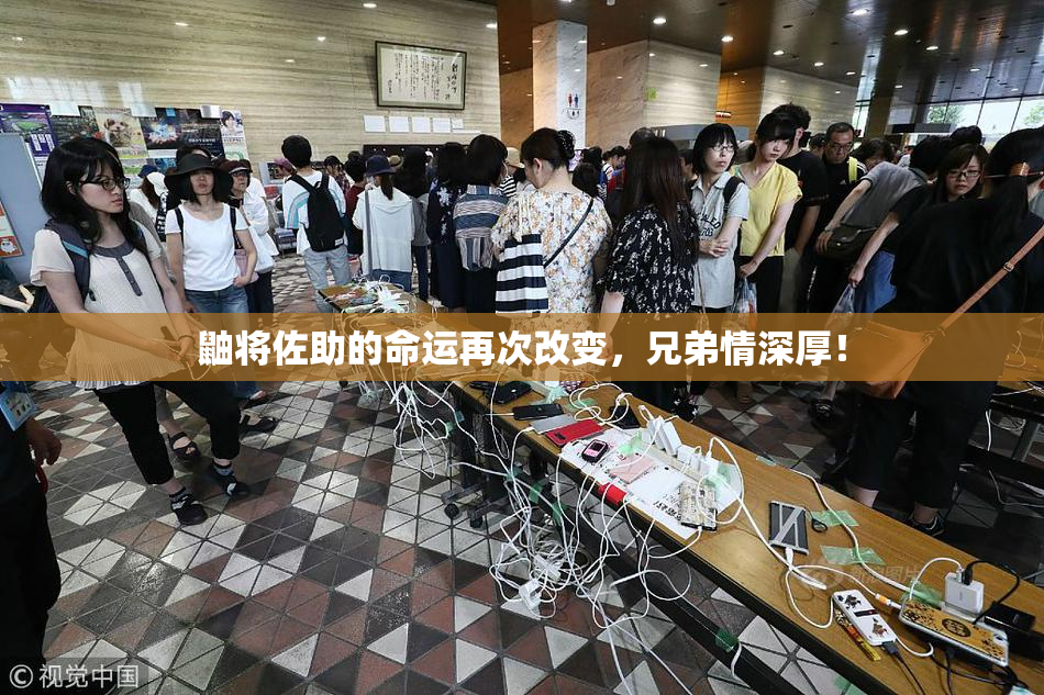 鼬将佐助的命运再次改变，兄弟情深厚！