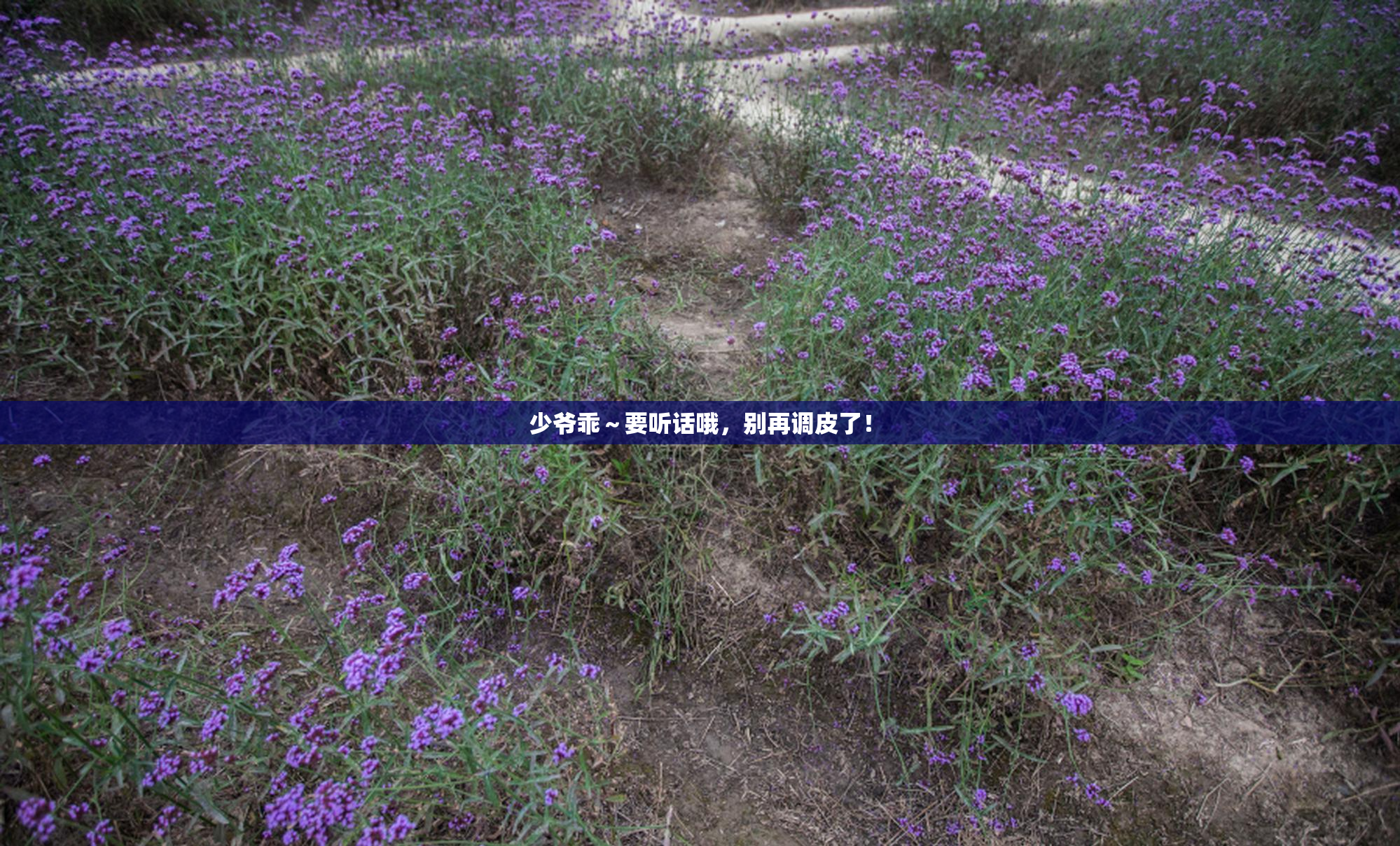 少爷乖～要听话哦，别再调皮了！