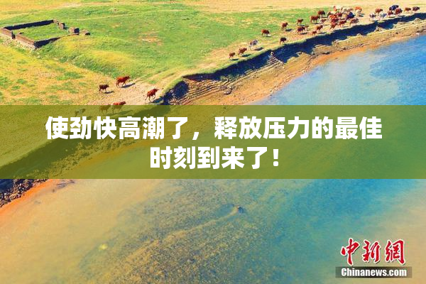 使劲快高潮了，释放压力的最佳时刻到来了！