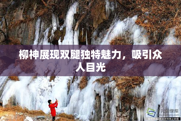 柳神展现双腿独特魅力，吸引众人目光