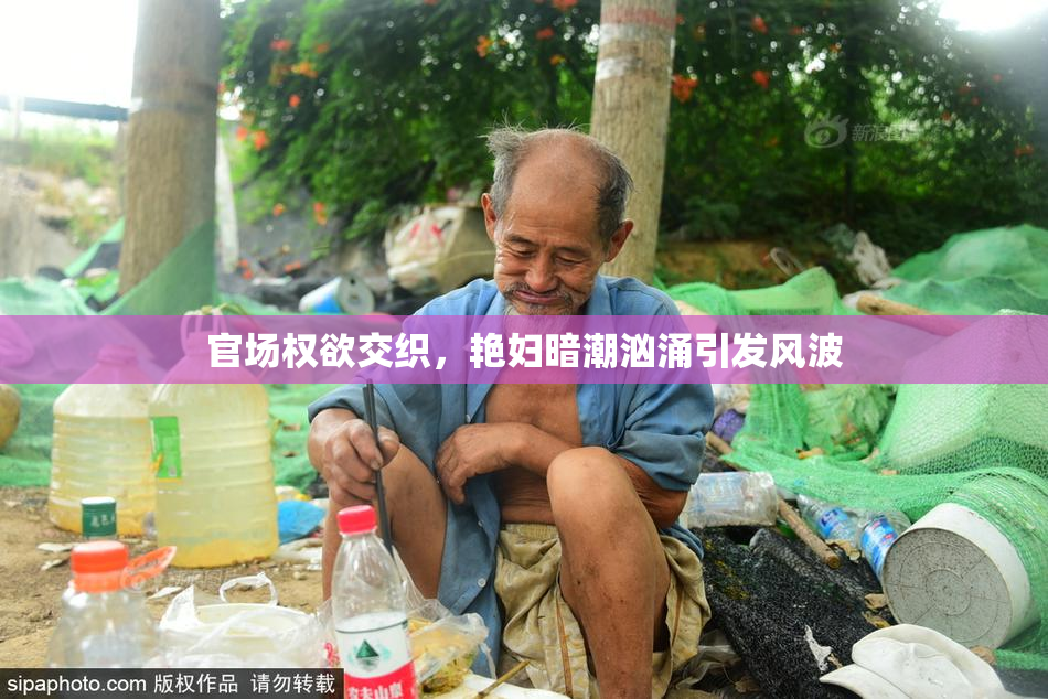 官场权欲交织，艳妇暗潮汹涌引发风波