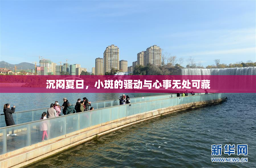 沉闷夏日，小斑的骚动与心事无处可藏