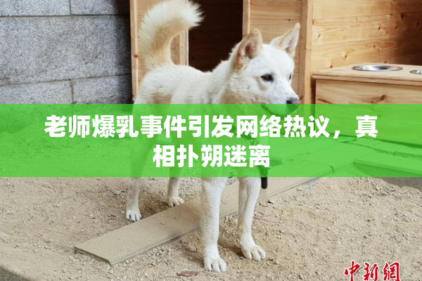 老师爆乳事件引发网络热议，真相扑朔迷离