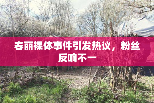 春丽裸体事件引发热议，粉丝反响不一