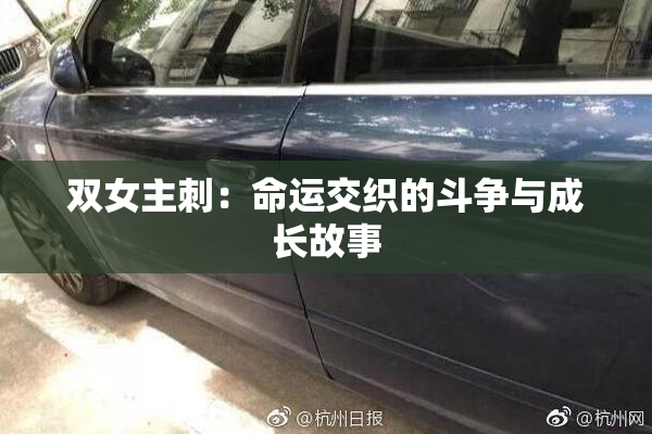 双女主刺：命运交织的斗争与成长故事