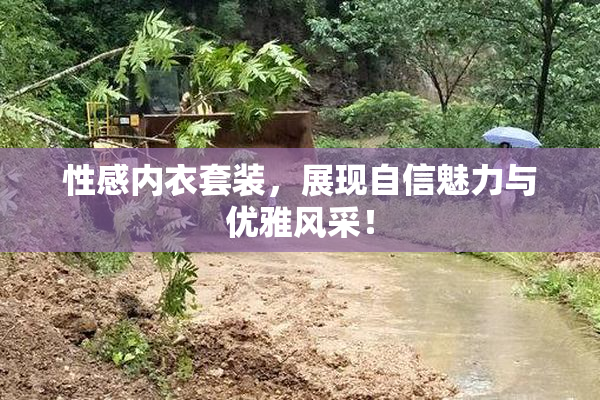 性感内衣套装，展现自信魅力与优雅风采！