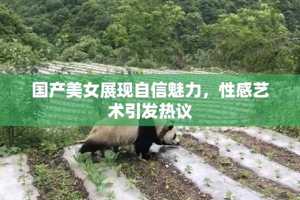 国产美女展现自信魅力，性感艺术引发热议