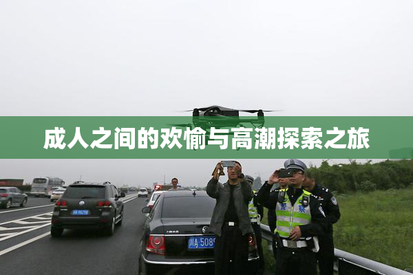 成人之间的欢愉与高潮探索之旅