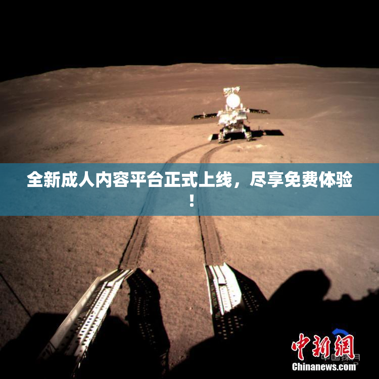 全新成人内容平台正式上线，尽享免费体验！