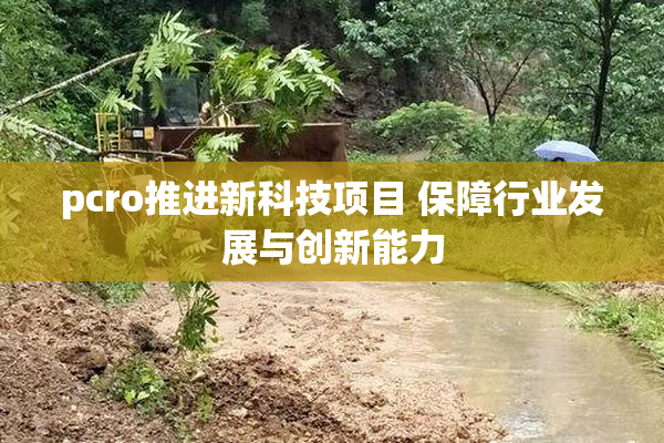 pcro推进新科技项目 保障行业发展与创新能力