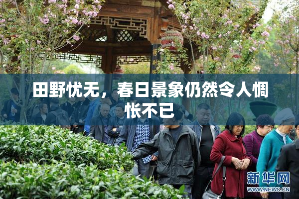 田野忧无，春日景象仍然令人惆怅不已