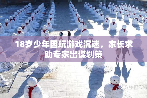 18岁少年因玩游戏沉迷，家长求助专家出谋划策