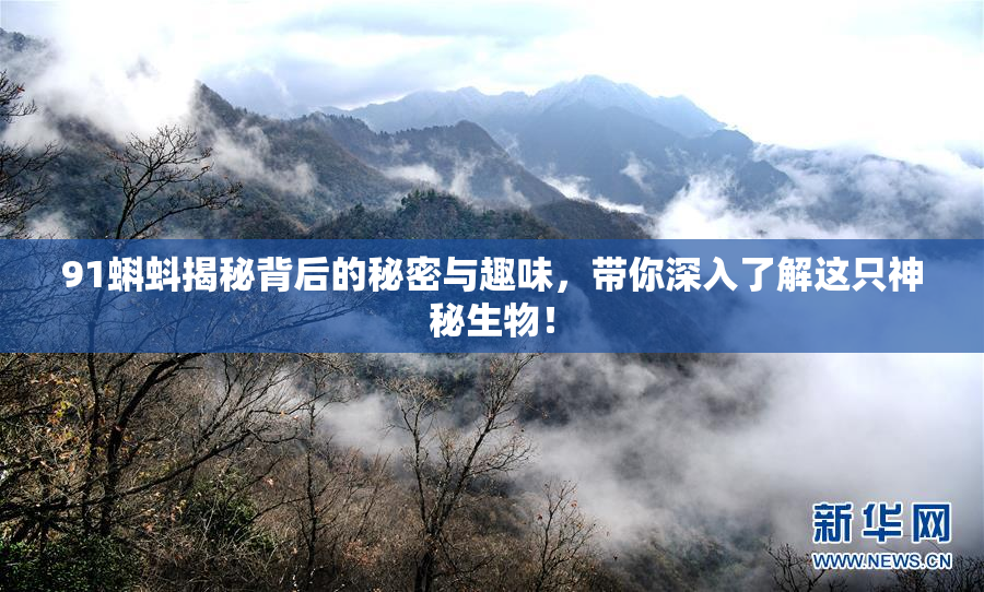 91蝌蚪揭秘背后的秘密与趣味，带你深入了解这只神秘生物！