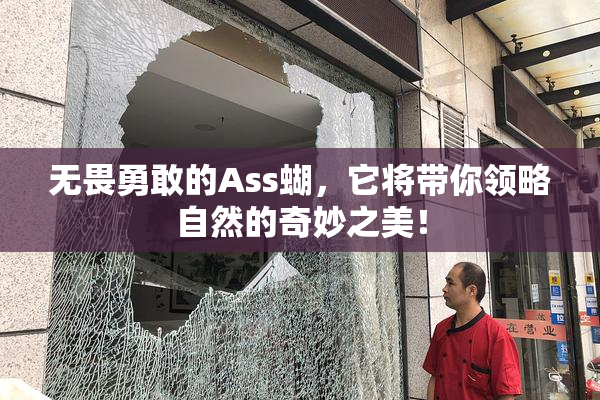 无畏勇敢的Ass蝴，它将带你领略自然的奇妙之美！