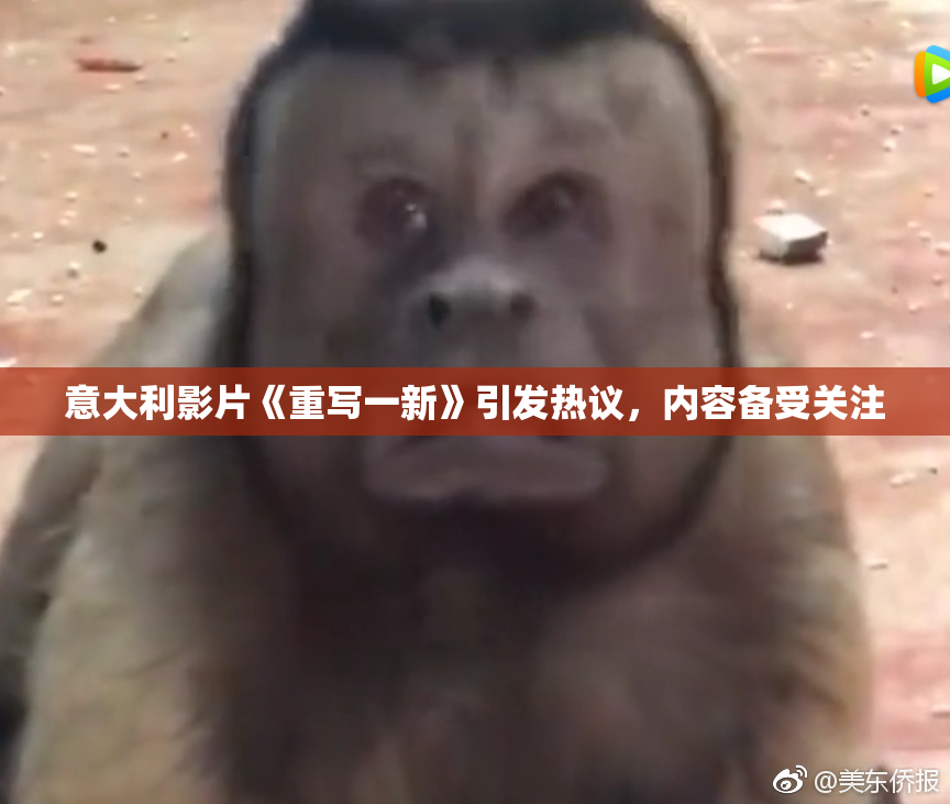 意大利影片《重写一新》引发热议，内容备受关注