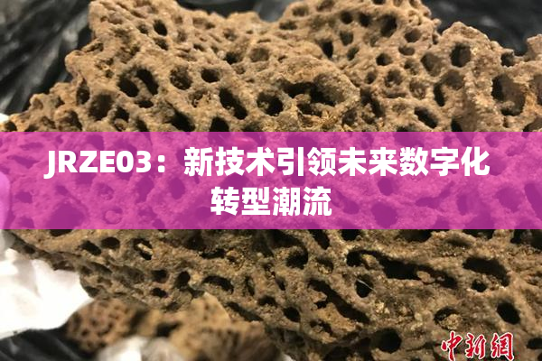 JRZE03：新技术引领未来数字化转型潮流