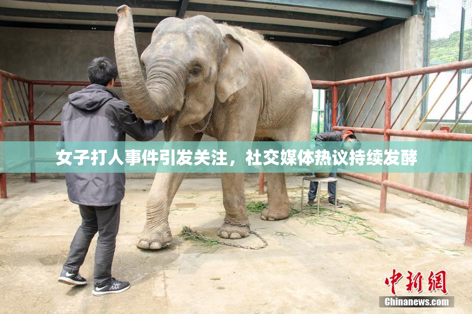 女子打人事件引发关注，社交媒体热议持续发酵