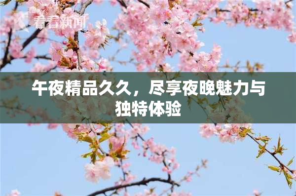 午夜精品久久，尽享夜晚魅力与独特体验