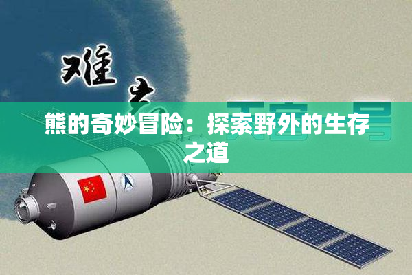 熊的奇妙冒险：探索野外的生存之道